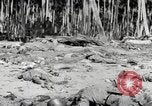 Standbild Marine Corps Pacific Theater, 1944, aus Sekunde 54 historischem Filmmaterial Videoclip 65675060320