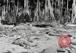 Standbild Marine Corps Pacific Theater, 1944, aus Sekunde 55 historischem Filmmaterial Videoclip 65675060320
