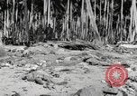 Standbild Marine Corps Pacific Theater, 1944, aus Sekunde 56 historischem Filmmaterial Videoclip 65675060320