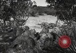 Standbild Marine Corps Pacific Theater, 1944, aus Sekunde 8 historischem Filmmaterial Videoclip 65675060321