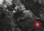 Standbild Marine Corps Pacific Theater, 1944, aus Sekunde 11 historischem Filmmaterial Videoclip 65675060321