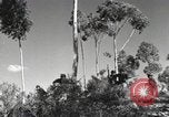 Standbild Marine Corps Pacific Theater, 1944, aus Sekunde 12 historischem Filmmaterial Videoclip 65675060321
