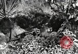 Standbild Marine Corps Pacific Theater, 1944, aus Sekunde 22 historischem Filmmaterial Videoclip 65675060321