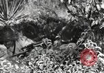 Standbild Marine Corps Pacific Theater, 1944, aus Sekunde 23 historischem Filmmaterial Videoclip 65675060321