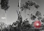 Standbild Marine Corps Pacific Theater, 1944, aus Sekunde 24 historischem Filmmaterial Videoclip 65675060321