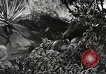 Standbild Marine Corps Pacific Theater, 1944, aus Sekunde 26 historischem Filmmaterial Videoclip 65675060321