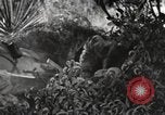 Standbild Marine Corps Pacific Theater, 1944, aus Sekunde 27 historischem Filmmaterial Videoclip 65675060321