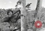 Standbild Marine Corps Pacific Theater, 1944, aus Sekunde 31 historischem Filmmaterial Videoclip 65675060321