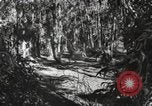 Standbild Marine Corps Pacific Theater, 1944, aus Sekunde 41 historischem Filmmaterial Videoclip 65675060321