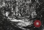Standbild Marine Corps Pacific Theater, 1944, aus Sekunde 42 historischem Filmmaterial Videoclip 65675060321