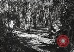 Standbild Marine Corps Pacific Theater, 1944, aus Sekunde 43 historischem Filmmaterial Videoclip 65675060321