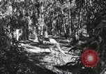 Standbild Marine Corps Pacific Theater, 1944, aus Sekunde 44 historischem Filmmaterial Videoclip 65675060321