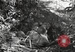Standbild Marine Corps Pacific Theater, 1944, aus Sekunde 47 historischem Filmmaterial Videoclip 65675060321