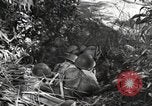 Standbild Marine Corps Pacific Theater, 1944, aus Sekunde 48 historischem Filmmaterial Videoclip 65675060321