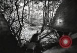 Standbild Marine Corps Pacific Theater, 1944, aus Sekunde 49 historischem Filmmaterial Videoclip 65675060321