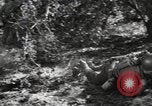 Standbild Marine Corps Pacific Theater, 1944, aus Sekunde 59 historischem Filmmaterial Videoclip 65675060321
