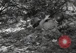 Standbild Marine Corps Pacific Theater, 1944, aus Sekunde 62 historischem Filmmaterial Videoclip 65675060321