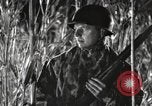 Standbild Marine Corps Pacific Theater, 1944, aus Sekunde 29 historischem Filmmaterial Videoclip 65675060322
