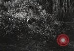 Standbild Marine Corps Pacific Theater, 1944, aus Sekunde 43 historischem Filmmaterial Videoclip 65675060322