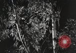 Standbild Marine Corps Pacific Theater, 1944, aus Sekunde 47 historischem Filmmaterial Videoclip 65675060322