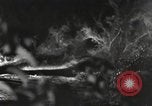 Standbild Marine Corps Pacific Theater, 1944, aus Sekunde 61 historischem Filmmaterial Videoclip 65675060322