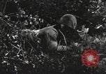 Standbild Marine Corps Pacific Theater, 1944, aus Sekunde 8 historischem Filmmaterial Videoclip 65675060323