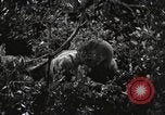 Standbild Marine Corps Pacific Theater, 1944, aus Sekunde 11 historischem Filmmaterial Videoclip 65675060323