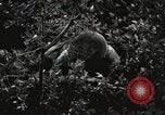 Standbild Marine Corps Pacific Theater, 1944, aus Sekunde 12 historischem Filmmaterial Videoclip 65675060323