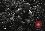 Standbild Marine Corps Pacific Theater, 1944, aus Sekunde 13 historischem Filmmaterial Videoclip 65675060323