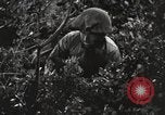 Standbild Marine Corps Pacific Theater, 1944, aus Sekunde 14 historischem Filmmaterial Videoclip 65675060323