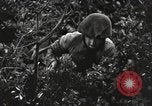 Standbild Marine Corps Pacific Theater, 1944, aus Sekunde 15 historischem Filmmaterial Videoclip 65675060323