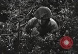 Standbild Marine Corps Pacific Theater, 1944, aus Sekunde 16 historischem Filmmaterial Videoclip 65675060323