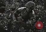 Standbild Marine Corps Pacific Theater, 1944, aus Sekunde 17 historischem Filmmaterial Videoclip 65675060323
