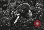 Standbild Marine Corps Pacific Theater, 1944, aus Sekunde 25 historischem Filmmaterial Videoclip 65675060323