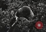 Standbild Marine Corps Pacific Theater, 1944, aus Sekunde 39 historischem Filmmaterial Videoclip 65675060323
