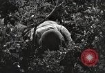 Standbild Marine Corps Pacific Theater, 1944, aus Sekunde 40 historischem Filmmaterial Videoclip 65675060323