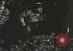 Standbild Marine Corps Pacific Theater, 1944, aus Sekunde 58 historischem Filmmaterial Videoclip 65675060323