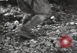 Standbild Marine Corps Pacific Theater, 1944, aus Sekunde 62 historischem Filmmaterial Videoclip 65675060323