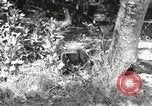 Standbild Marine Corps Pacific Theater, 1944, aus Sekunde 10 historischem Filmmaterial Videoclip 65675060324