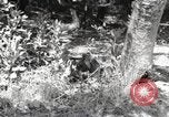 Standbild Marine Corps Pacific Theater, 1944, aus Sekunde 11 historischem Filmmaterial Videoclip 65675060324