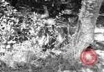 Standbild Marine Corps Pacific Theater, 1944, aus Sekunde 12 historischem Filmmaterial Videoclip 65675060324