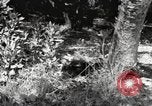 Standbild Marine Corps Pacific Theater, 1944, aus Sekunde 23 historischem Filmmaterial Videoclip 65675060324