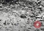Standbild Marine Corps Pacific Theater, 1944, aus Sekunde 24 historischem Filmmaterial Videoclip 65675060324
