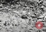 Standbild Marine Corps Pacific Theater, 1944, aus Sekunde 25 historischem Filmmaterial Videoclip 65675060324