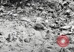 Standbild Marine Corps Pacific Theater, 1944, aus Sekunde 26 historischem Filmmaterial Videoclip 65675060324
