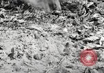 Standbild Marine Corps Pacific Theater, 1944, aus Sekunde 27 historischem Filmmaterial Videoclip 65675060324