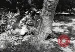 Standbild Marine Corps Pacific Theater, 1944, aus Sekunde 28 historischem Filmmaterial Videoclip 65675060324