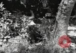 Standbild Marine Corps Pacific Theater, 1944, aus Sekunde 29 historischem Filmmaterial Videoclip 65675060324