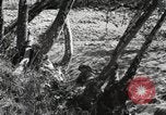 Standbild Marine Corps Pacific Theater, 1944, aus Sekunde 30 historischem Filmmaterial Videoclip 65675060324