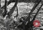 Standbild Marine Corps Pacific Theater, 1944, aus Sekunde 31 historischem Filmmaterial Videoclip 65675060324